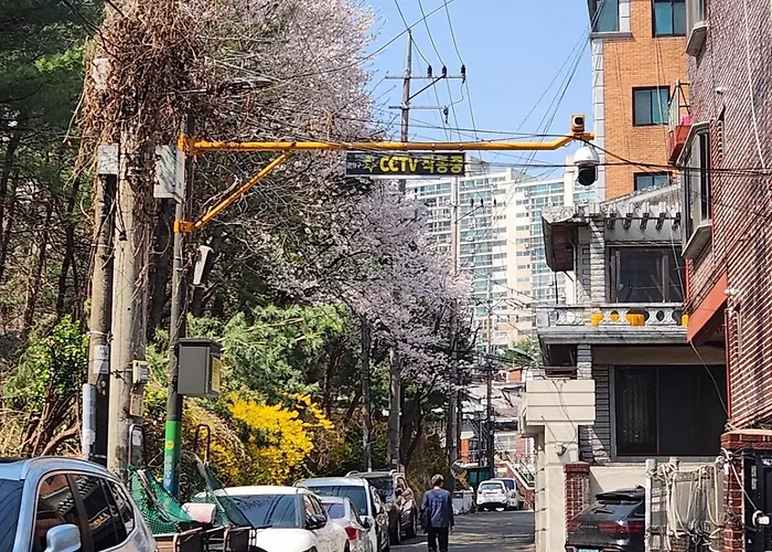 아파트 모모스테이