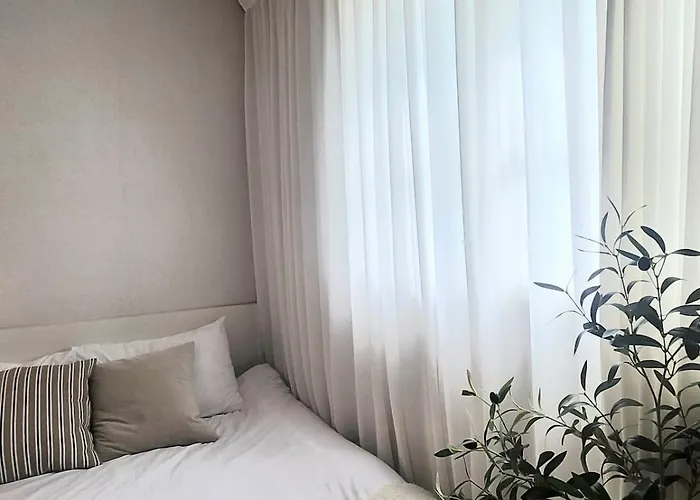 모모스테이 서울특별시