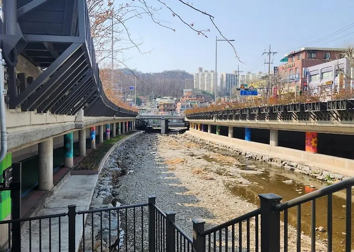 모모스테이