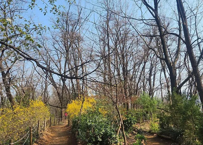 모모스테이 서울특별시